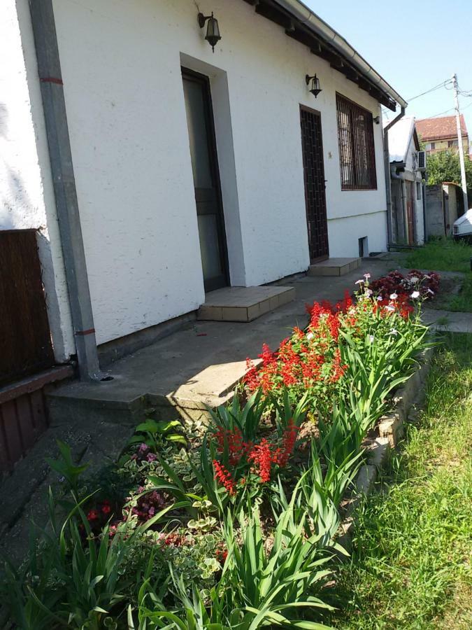 Apartman Romy Pančevo Buitenkant foto